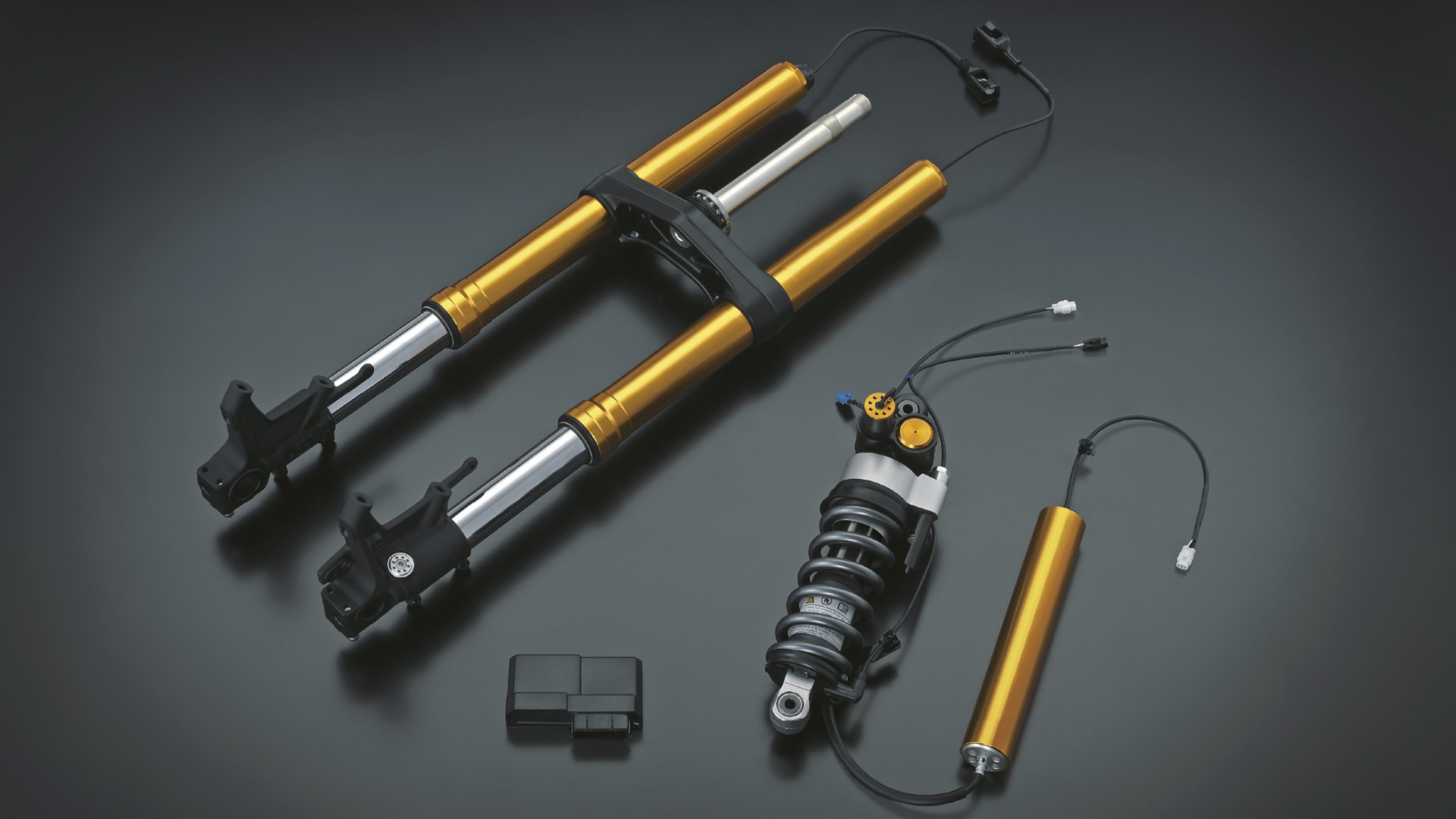 Suspensão Eletrônica Avançada Suzuki (SAES)